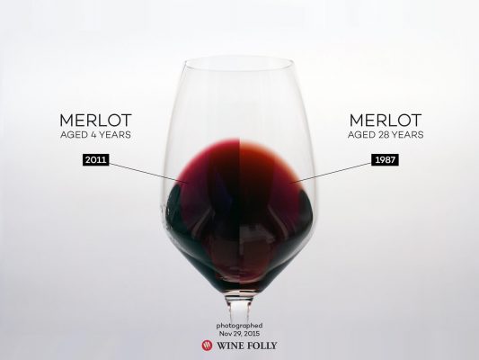 Rượu vang được làm từ nho Merlot