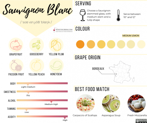 Sauvignon Blanc grape profile