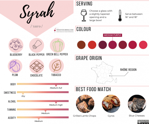 Syrah grape profile