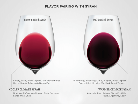 syrah wine colour