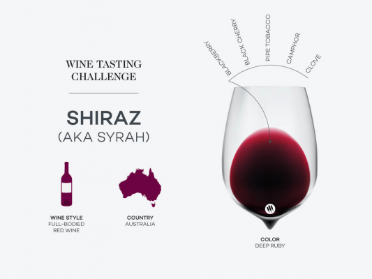 wine tasting challenge shiraz