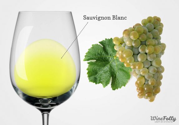 Nho và rượu vang Sauvignon Blanc