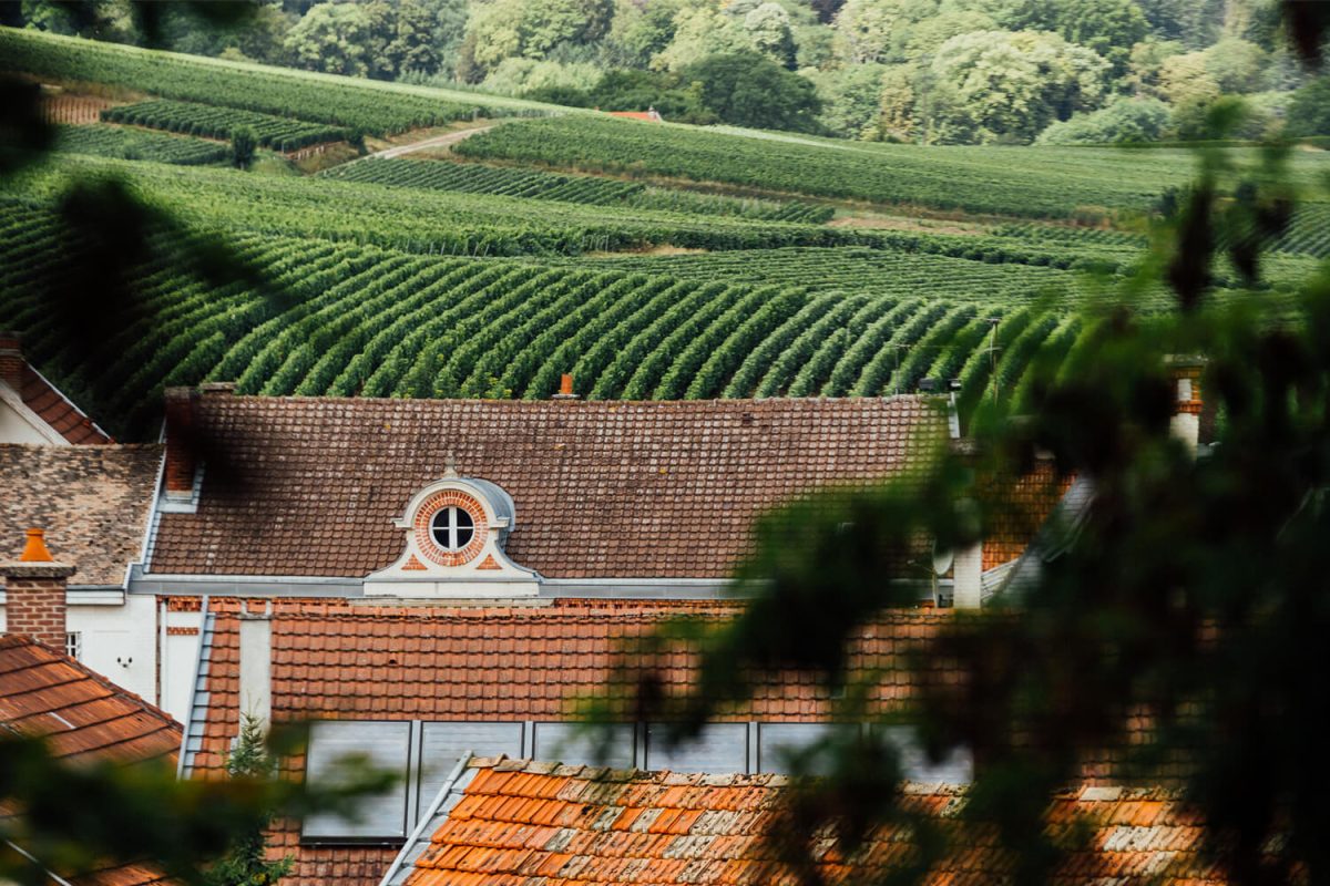 Hedon WineHub