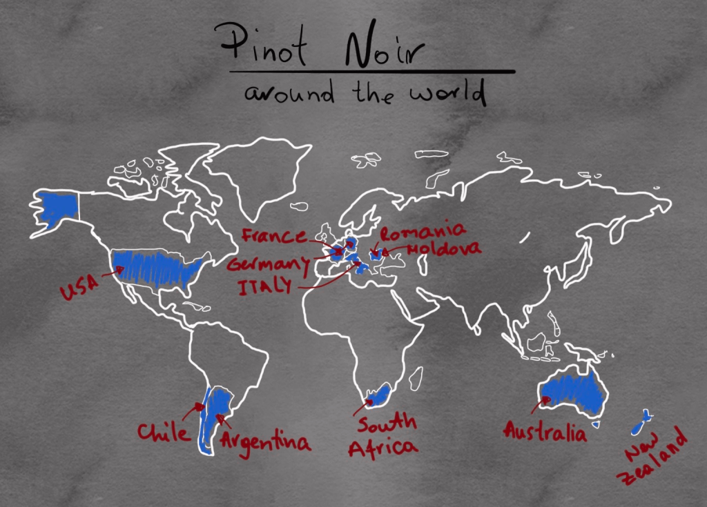 Các vùng nho Pinot Noir nổi tiếng trên thế giới