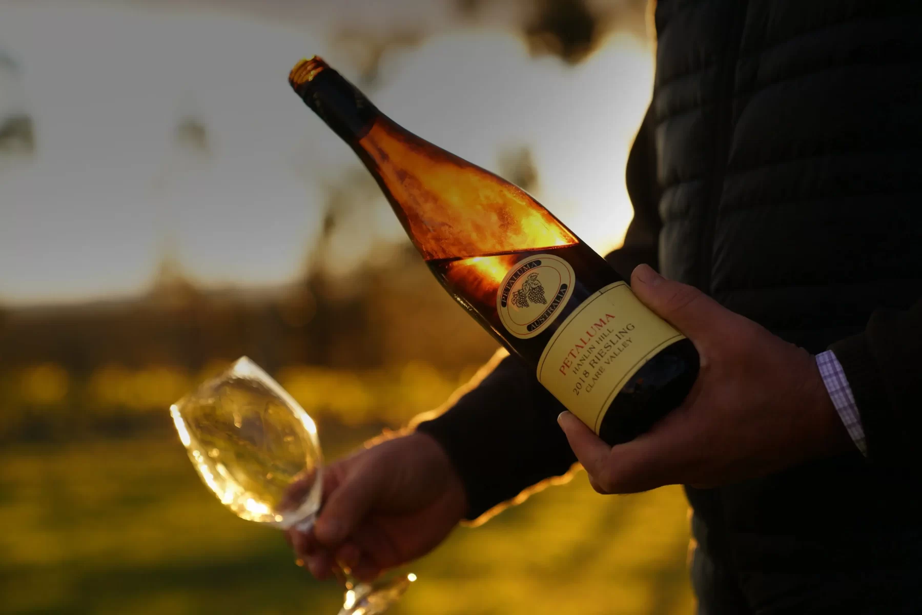 Hedon WineHub