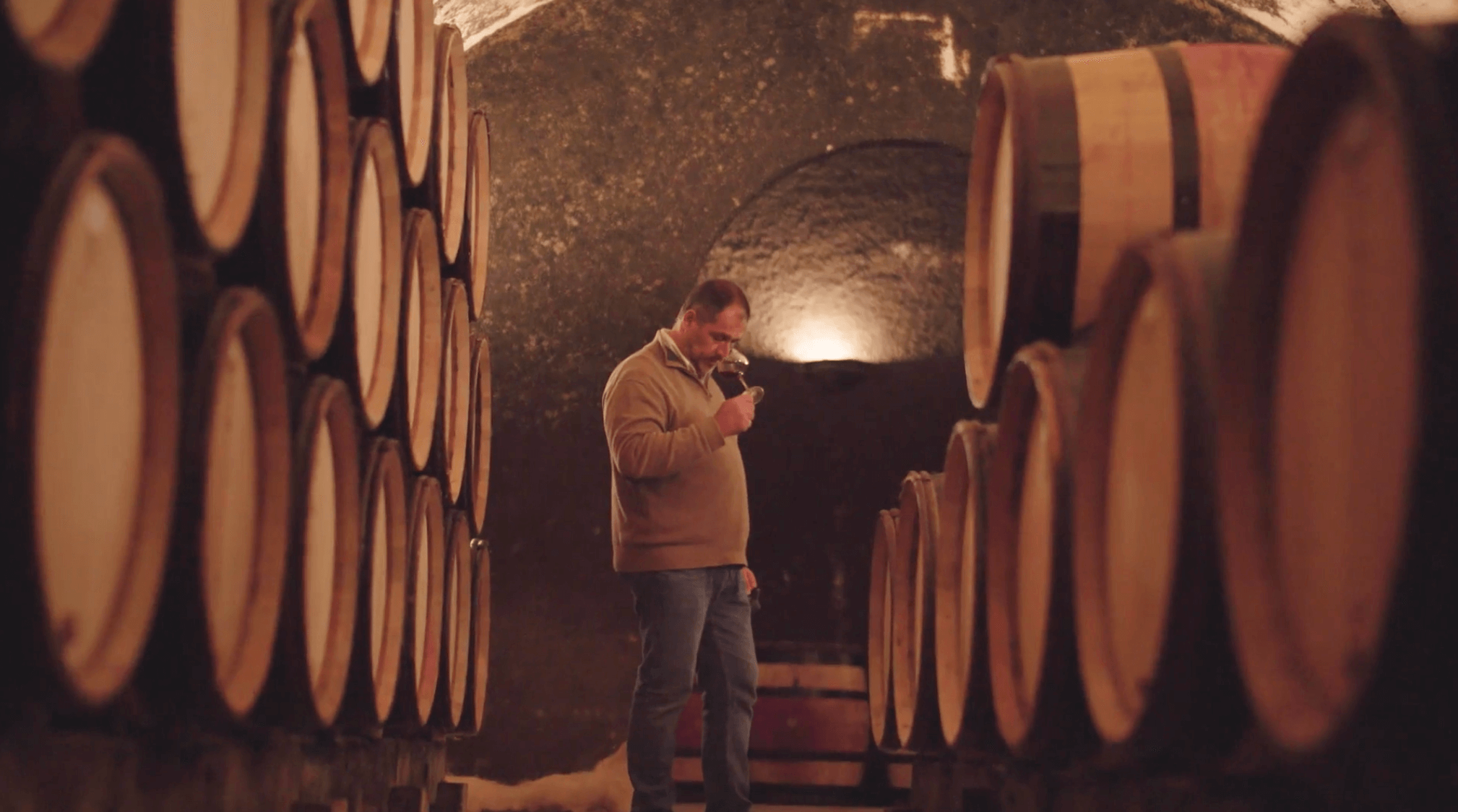 Thử nếm rượu vang Calvet tại hầm rượu
