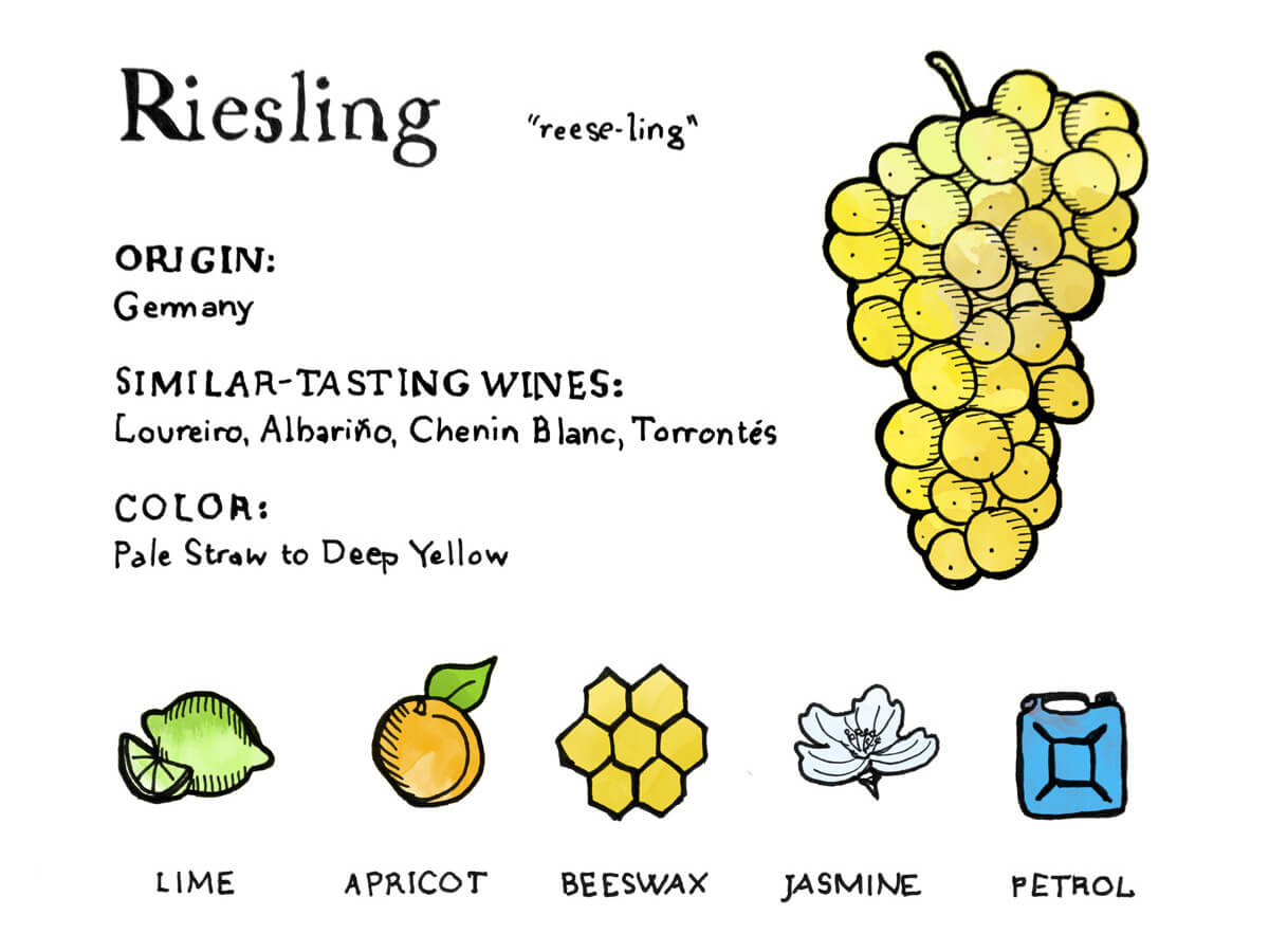 Hương vị của nho Riesling