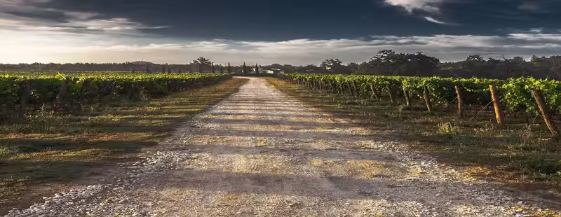 Phân hạng rượu vang Medoc