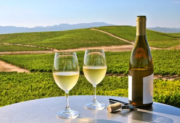 Cách chọn ly uống rượu vang trắng