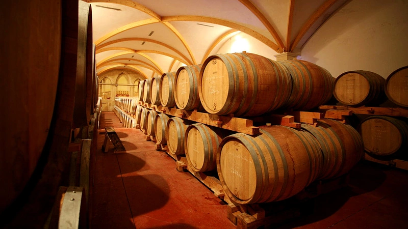 Các loại thùng gỗ sồi phổ biến trong sản xuất rượu vang