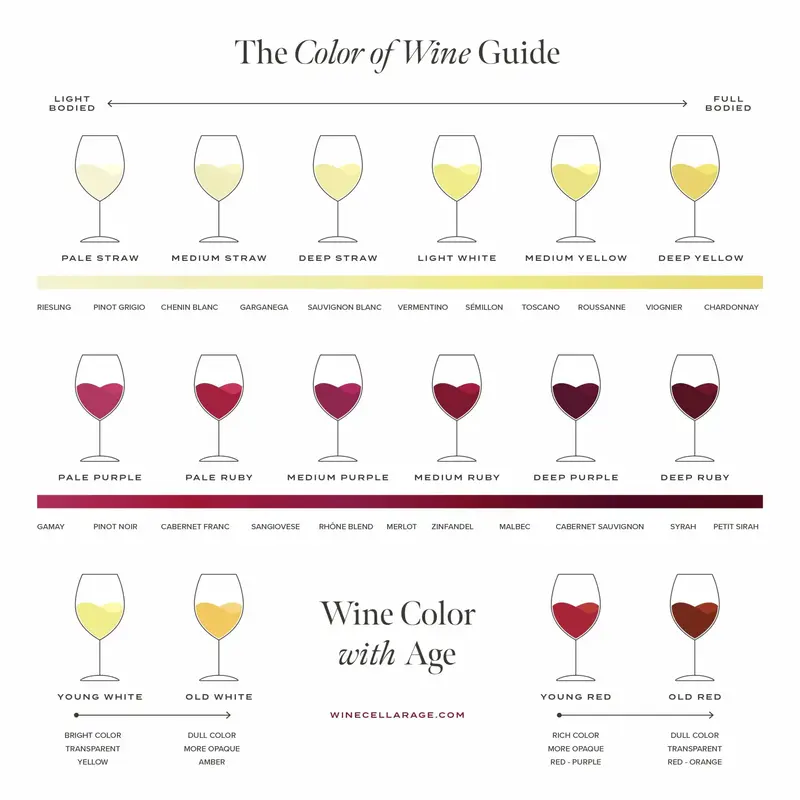 Màu rượu vang cho biết điều gì