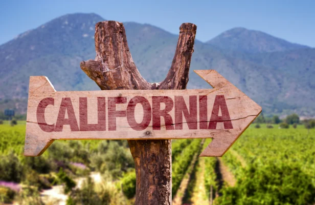 Rượu vang California, tinh hoa của vang mỹ