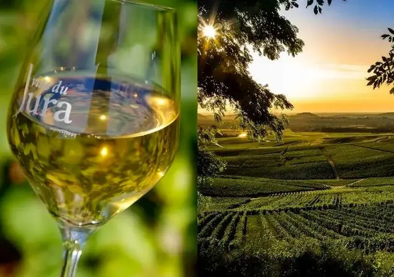 Các vùng sản xuất rượu vang trắng nổi tiếng tại Pháp