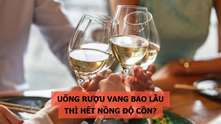 Uống rượu vang bao lâu thì hết nồng độ cồn?