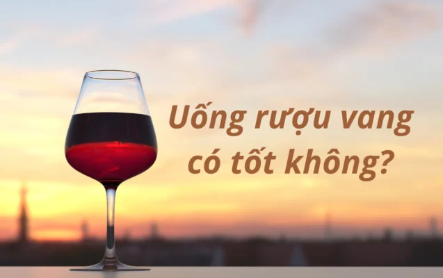 Uống rượu vang có tốt không? Tìm hiểu tác dụng của rượu vang