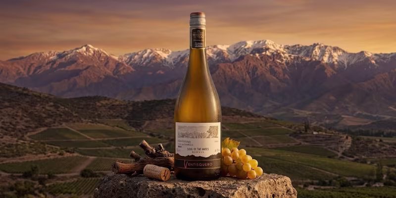 Ventisquero Reserva Chardonnay - Bản giao hưởng tươi mát và mượt mà từ Chile