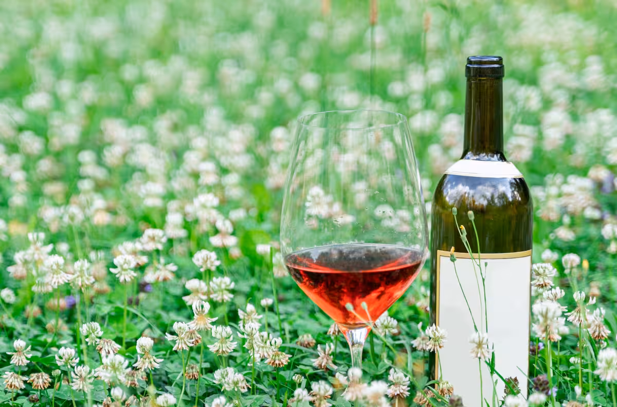 12 thành phần của rượu vang: Bí mật trong mỗi ly rượu